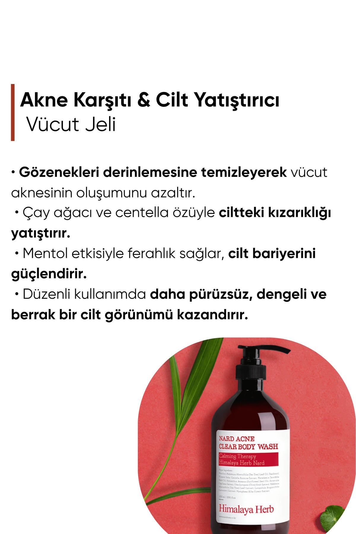 Nard ACNE Clear Body Wash Nard Sivilce ve Akne Karşıtı Vücut Temizleyici 500 ml