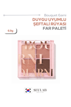 Mood Blending Şeftali Rüyası Far Paleti 02