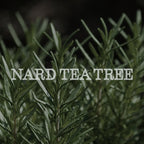 Nard Tea Tree Oil Refresh Care Shampoo - Çay Ağacı Yağı İçeren Ferahlatıcı Bakım Şampuanı 1.5L
