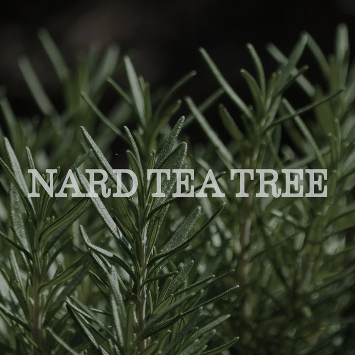 Nard Tea Tree Oil Refresh Care Shampoo - Çay Ağacı Yağı İçeren Ferahlatıcı Bakım Şampuanı 1.5L